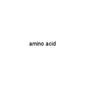 amino acid